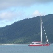 O episódio do veleiro e do snorkeling na Austrália
