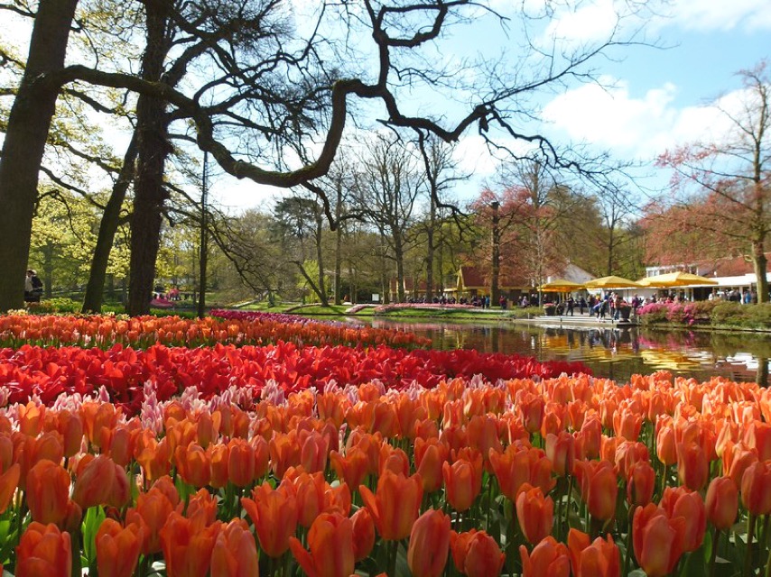 keukenhof