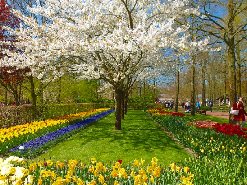 keukenhof