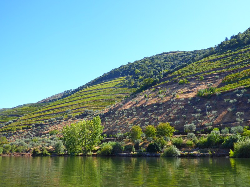 passeio de barco pelo douro