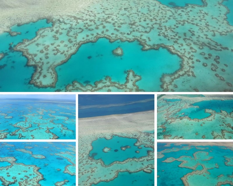 Voo panorâmico Whitehaven Beach e Barreira de Corais